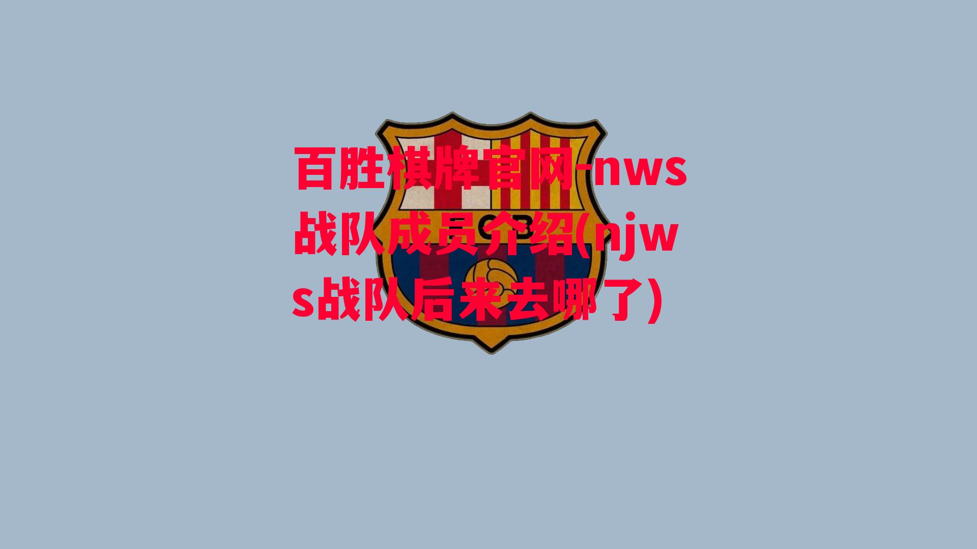 nws战队成员介绍(njws战队后来去哪了)